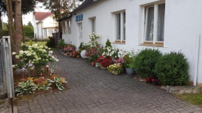 POMERANIA Pokoje U Oliwii in Rewal